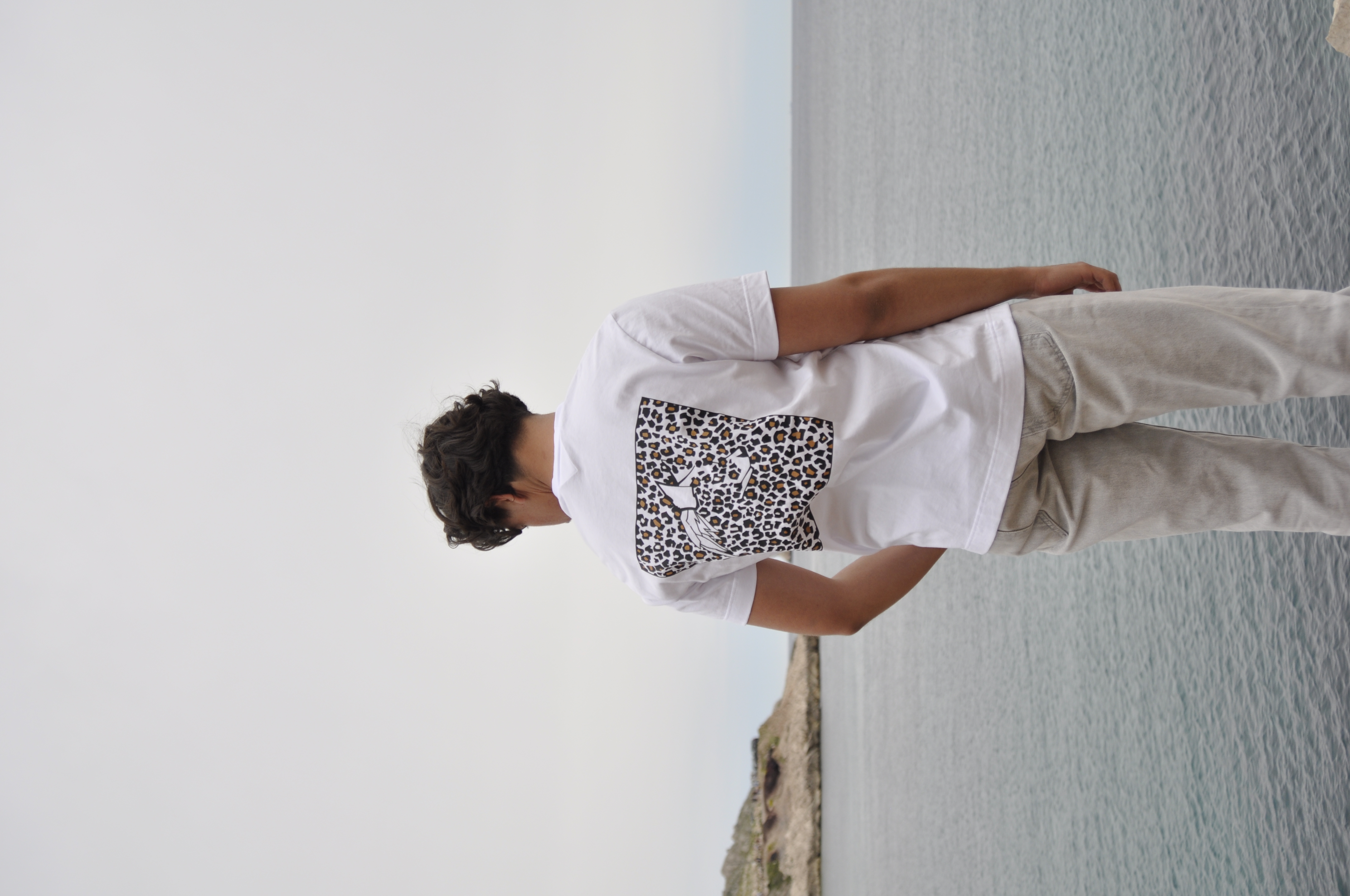 Campana's Journey